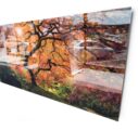 Glass Prints by Fujifilm Print Centre - Large Format
