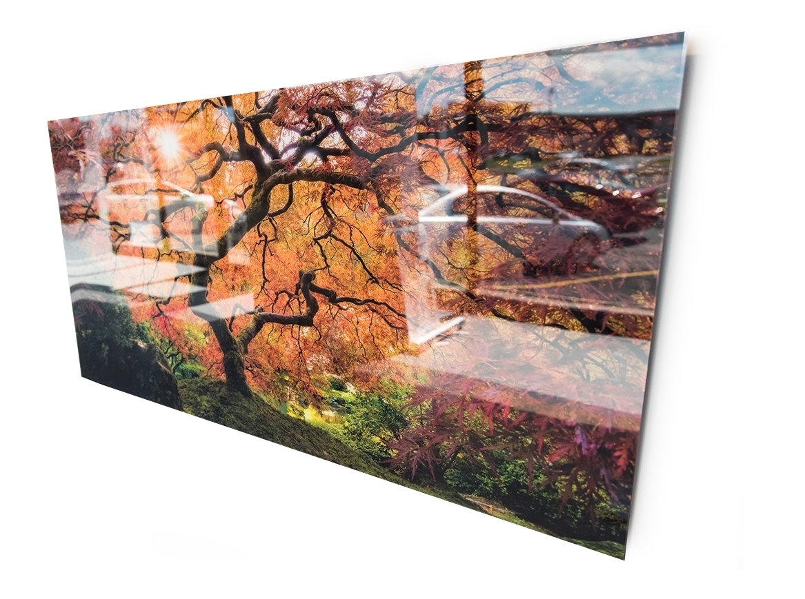 Glass Prints