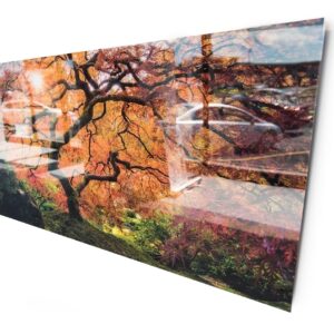 Glass Prints by Fujifilm Print Centre - Large Format
