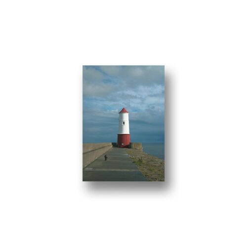 photo 2 I-bond Metal Prints