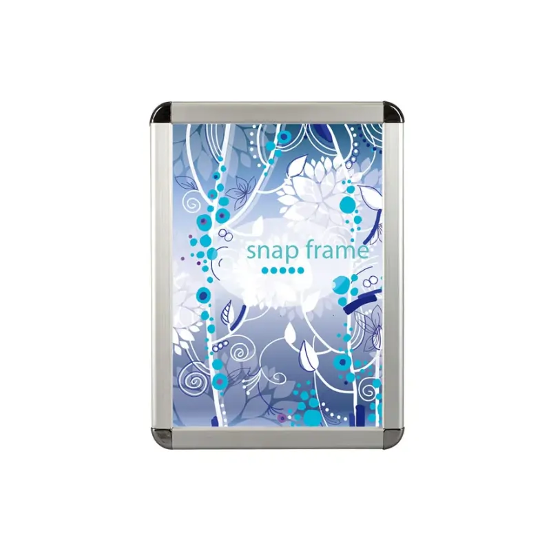 Snapper Frames view 3