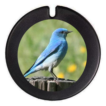 License Disc Holders by Fujifilm Print Centre - Gifting