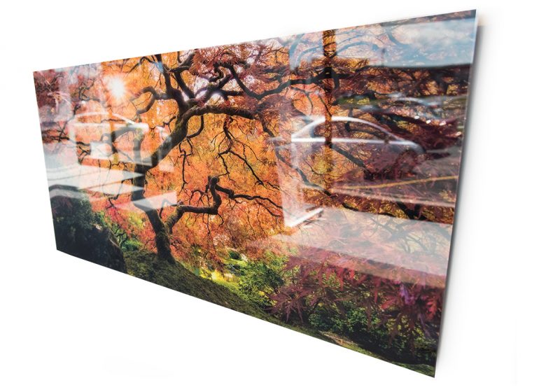 Glass & Perspex Prints - Fujifilm Print Centre